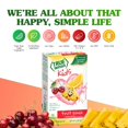 thumbnail image 3 of (12 pack) True Lemon Kids Fruit Punch Powdered Drink Mix, Low Sugar, No Artificial Sweeteners, 10 Count Box, 3 of 13