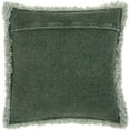 thumbnail image 2 of Nourison Life Styles Green Decorative Throw Pillow , 20"X20", 2 of 2