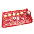 thumbnail image 5 of Intor 96 Eggs Bird Intor Egg Rack Tray 24 Automatic Egg Intor 48 Eggs Quail Parrot Int Tool, 5 of 5
