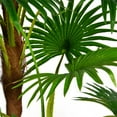 thumbnail image 2 of 56" Tall Fan Palm Tree Artificial Indoor/ Outdoor Décor Faux Burlap Kit and Fiberstone Planter By Minx NY, 2 of 4