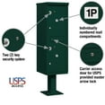 thumbnail image 4 of Outdoor Parcel Locker with 2 Compartments in Green with USPS Access Type I, 4 of 4