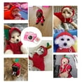 thumbnail image 4 of Winter Warm Plush Dog Hoodie, Apple‑Shaped Pet Cosplay Outfit for Small Dogs, 4 of 5