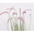 thumbnail image 4 of Faux Foxtail Grass 71.1” | Purple and white topped | Tall artificial grass in a planter | Home décor | Vintage Home, 4 of 8