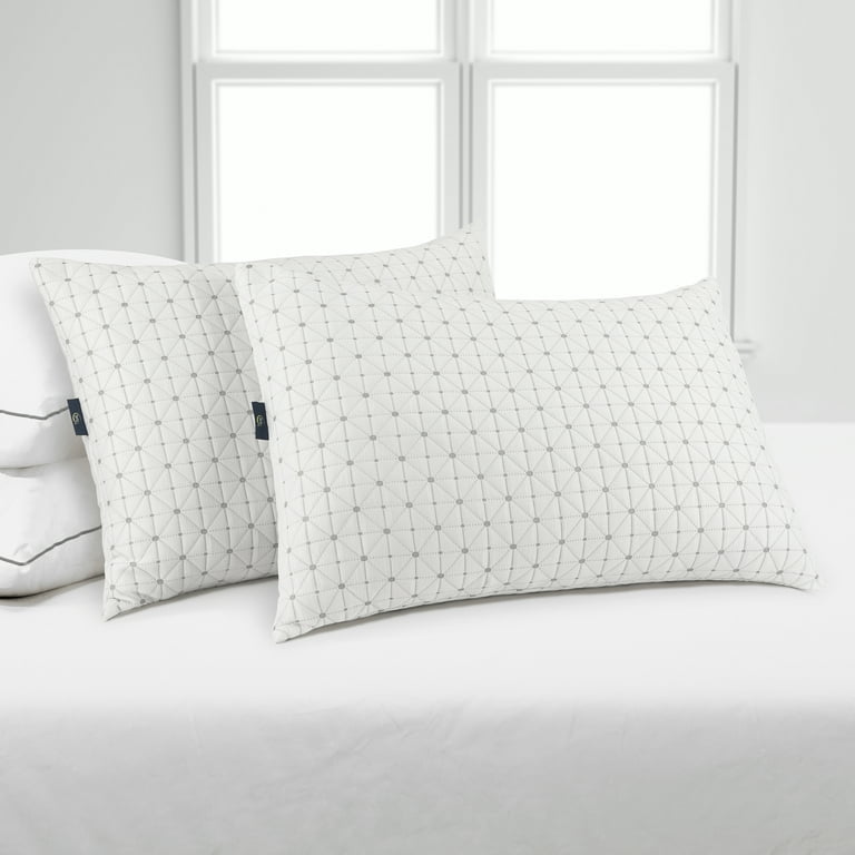 TECHTIC Queen Size HOTEL COLLECTION Pillows 20 x 30 Set of 2 Queen Pillows