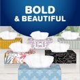 thumbnail image 3 of Scotties House & Home, 2-Ply Facial Tissue, 9 Boxes, 126 Tissues Per Box, 3 of 5