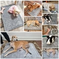 thumbnail image 3 of Almohadilla para cama para perros BEAUTYZOO, 107 x 71 cm, lavable, gris, 3 of 9