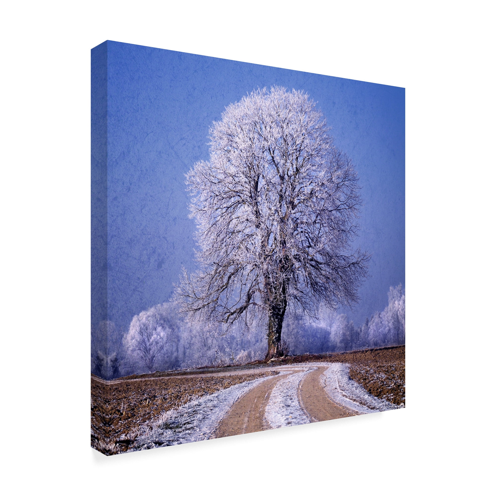 Trademark Fine Art 'The Sounds Of Silence' Canvas Art by Philippe Sainte-Laudy