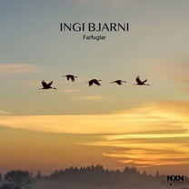 Ingi Bjarni Skulason - Farfuglar - Music & Performance - CD