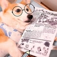 thumbnail image 6 of Crinkle Newspaper Dog Chew Toy, Interactive Squeaky Paper-Style Toy, Durable Crinkle Fabric Toy for Dogs to Bite, Tear and Relieve Boredom, 6 of 8