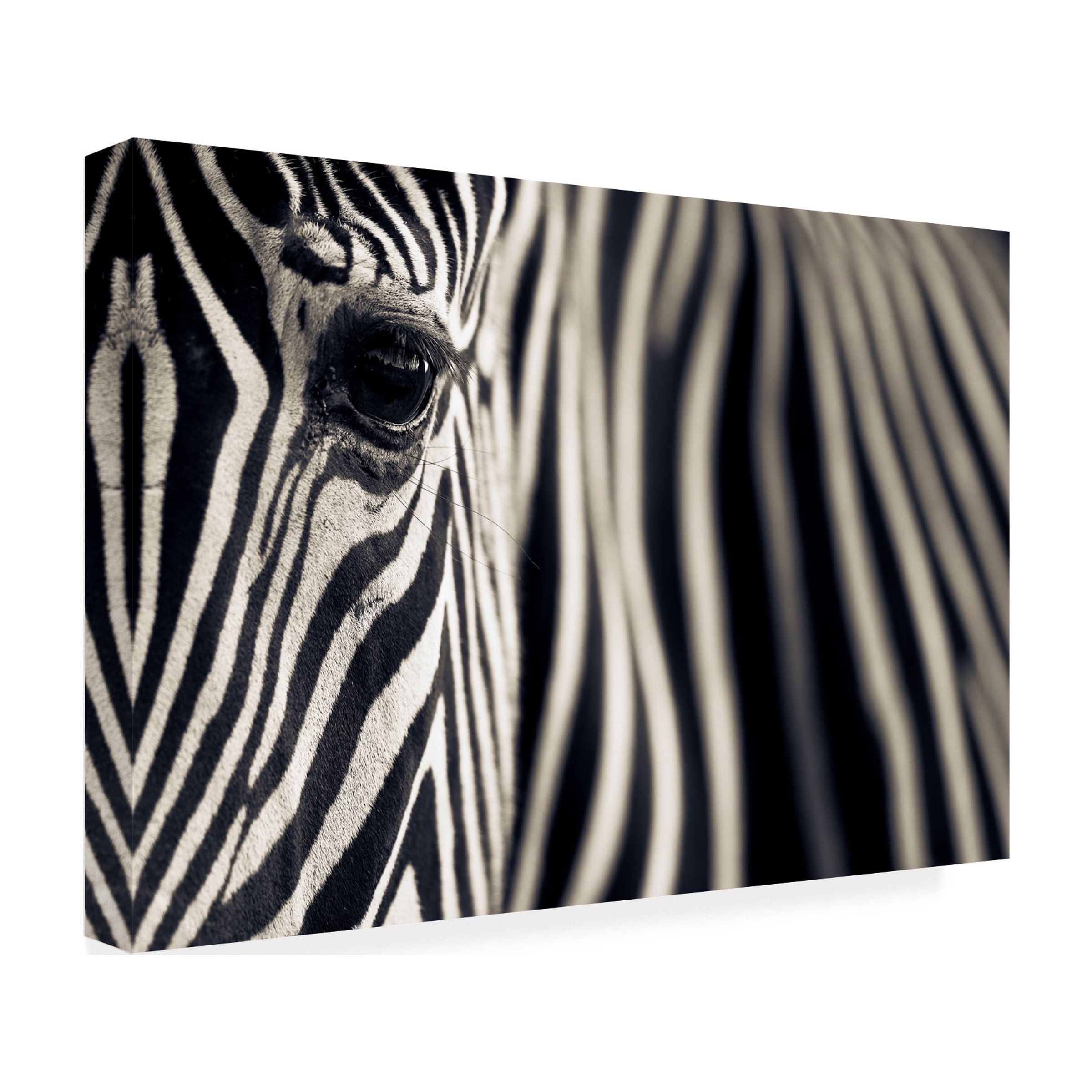 Mario Moreno 'Eye & Stripes' Canvas Art
