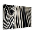 thumbnail image 4 of Mario Moreno 'Eye & Stripes' Canvas Art, 4 of 4