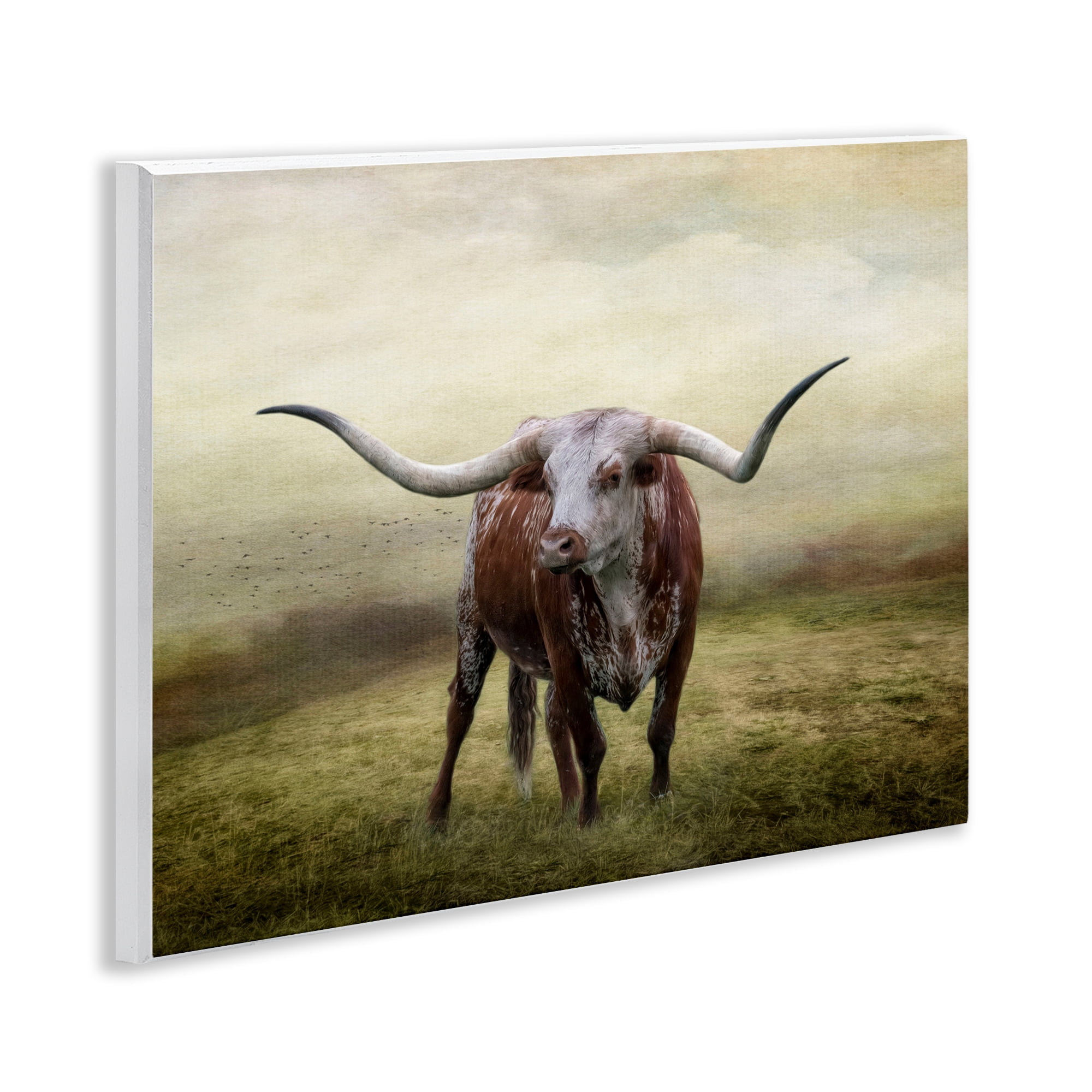 Stupell Industries Pride Of The Longhorn Animals & Insects Photography Unframed Art Print Wall Art, 14 x 11