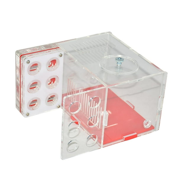 Nido de hormigas DIY Suministros Casa de humedad Caja nido Acrílico Granja Villa para sala de estar 15 cm