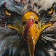 thumbnail image 5 of Orinice Bald Eagle Bathroom Decor Set - Colorful Luxurious Graphic Print Polyester Fabric Shower Curtain with Hooks, Waterproof, Easy to Install, Machine Washable 60x72, 5 of 7