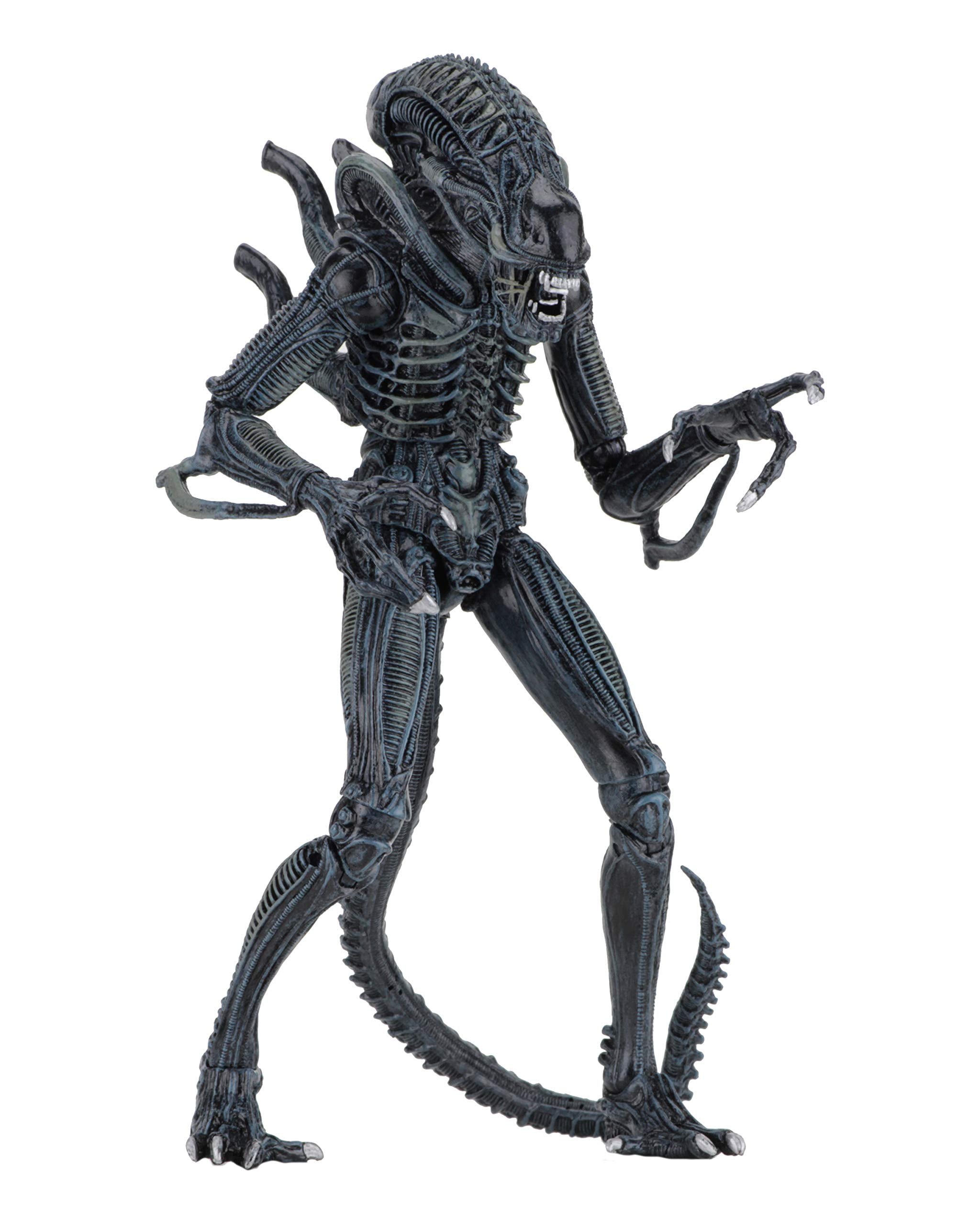 ALIENS ACTION FIGURE 23 CM ULTIMATE WARRIOR blue - La Quatrième Dimension