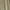 Beige, variant on ShomPort Women's Shorts Summer Casual Drawstring High Waisted Wide Leg Comfy Beach Short with Pockets