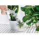 thumbnail image 5 of 1 Uds. Aspersor de tapa de botella de doble cabezal de plástico, regadera de botella, regadera de bonsái para plantas de plántulas de interior, herramientas de jardín, color gris Rojo Verde Cocina, Decoración y Otros, 5 of 5