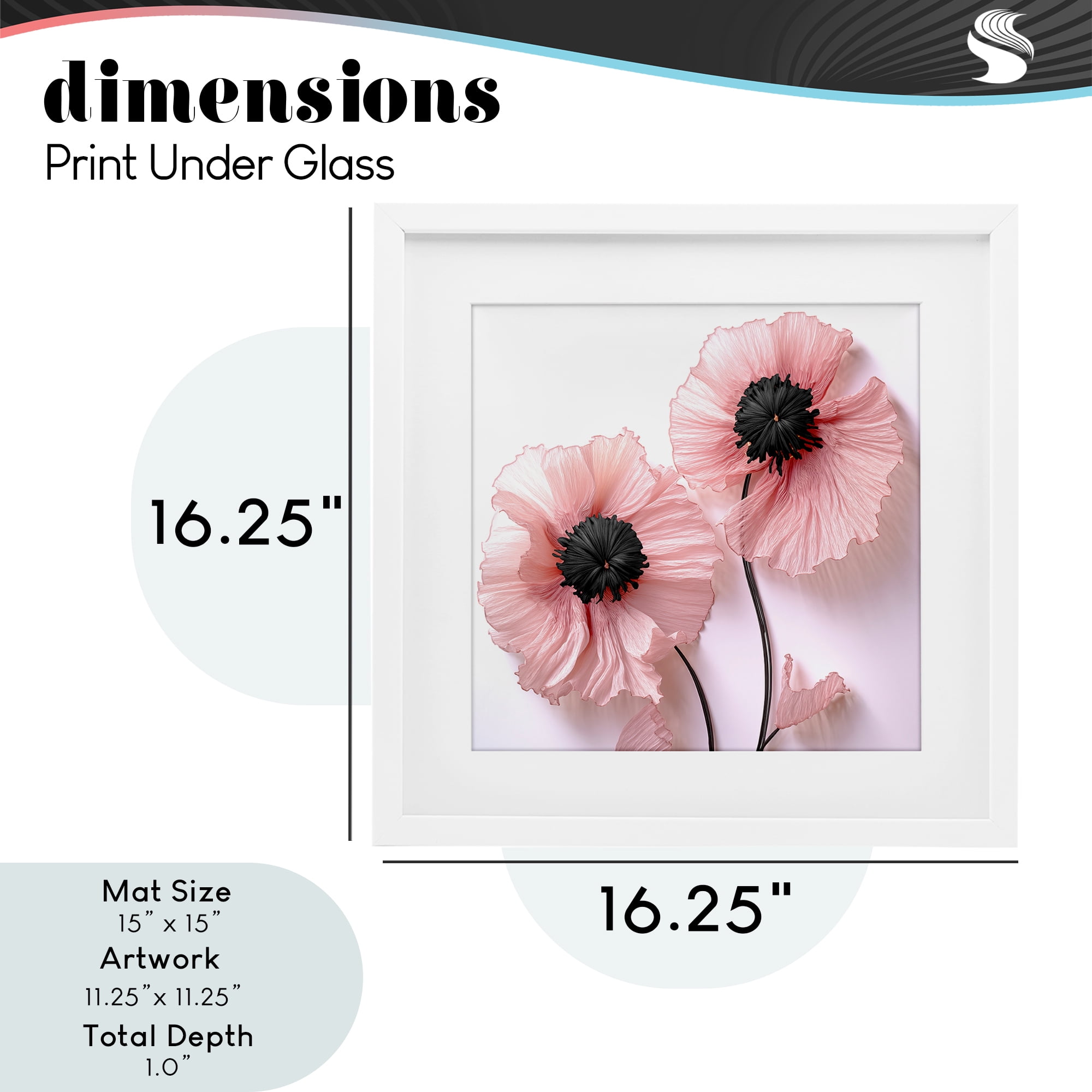 Properly Pink Poppies White Framed Print Under Glass, design by Sasha