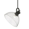 thumbnail image 4 of Yep by Golden Lighting Hines 1-light 14in Pendant in Rubbed Bronze and Seeded Glass, 4 of 7
