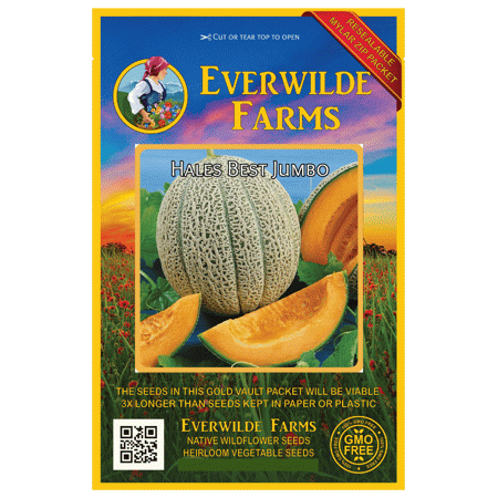 Everwilde Farms - 50 Hales Best Jumbo Melon Seeds - Gold Vault Jumbo Bulk Seed (Hales Best Jumbo Melon)