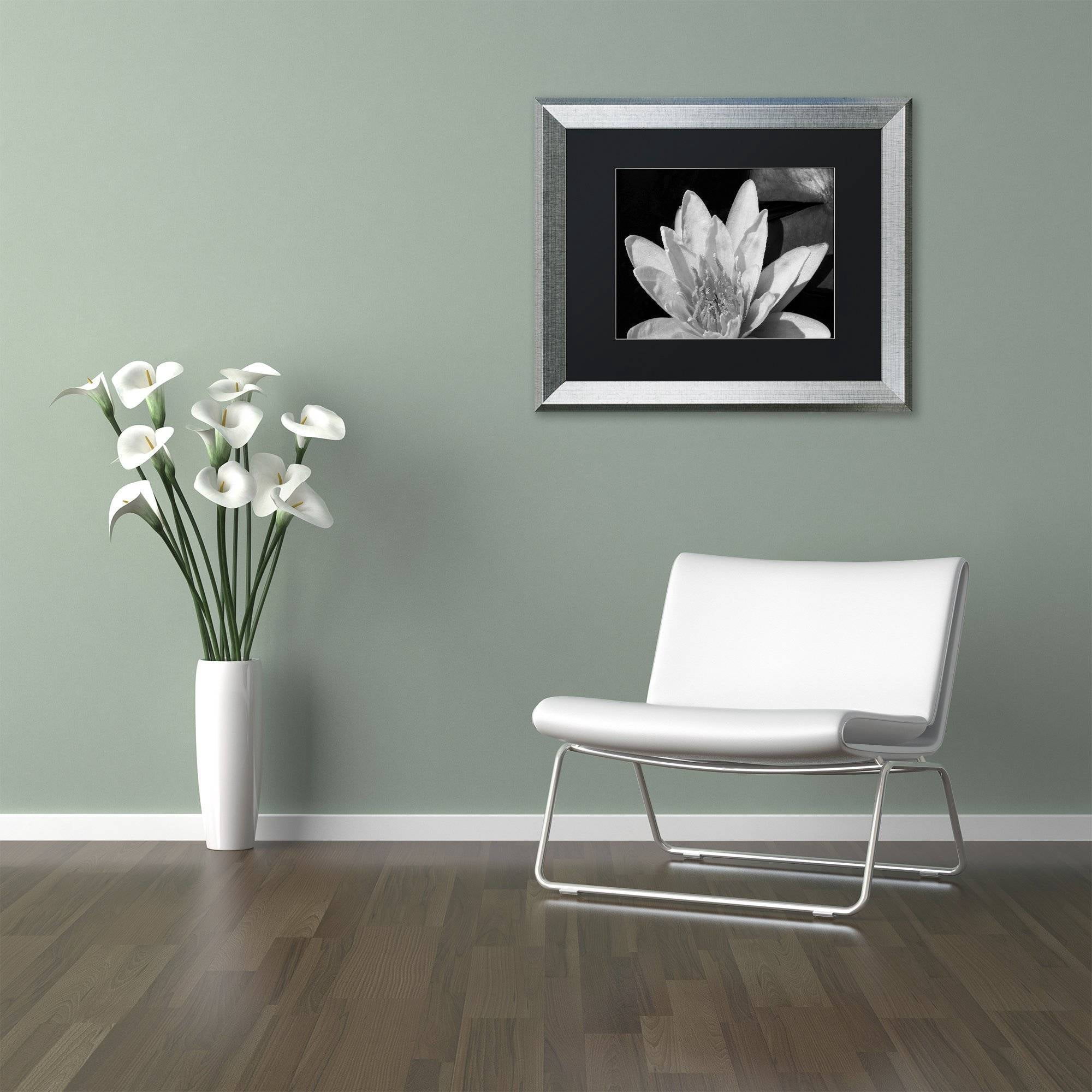 Trademark Fine Art "Water Lily in Black and White" Canvas Art by Kurt Shaffer, Black Matte, Silver Frame