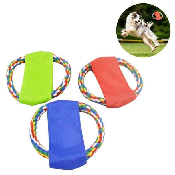 Kong frisbee pets at cheap home