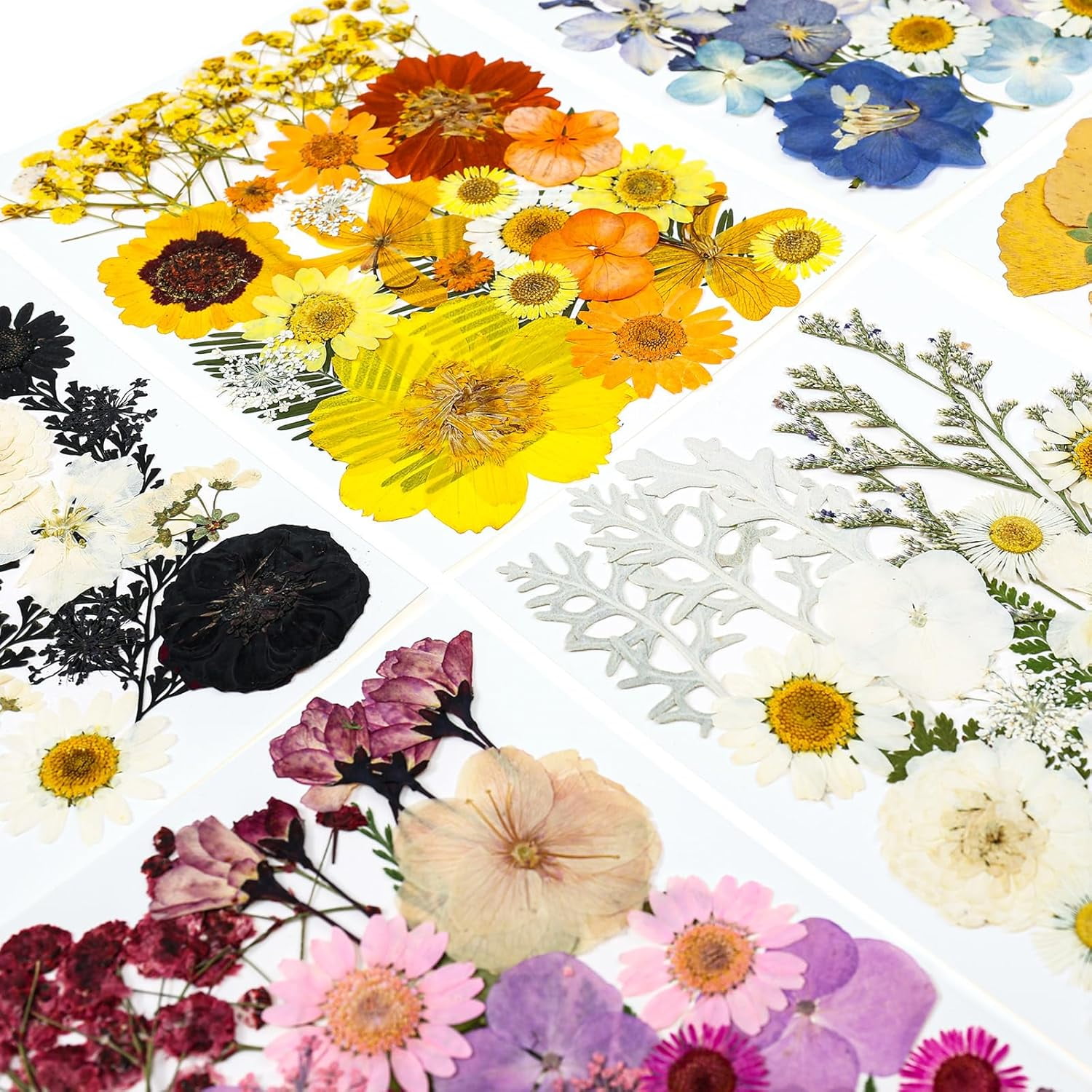 150Pcs Pressed Flowers for Crafts, Colorful Dried Flowers for Crafts Real Natural Dried Pressed Flowers Dry Leaves Bulk for Resin, DIY Art, Scrapbook, Jewelry, Card, Candle & Soap Making with Tweezer