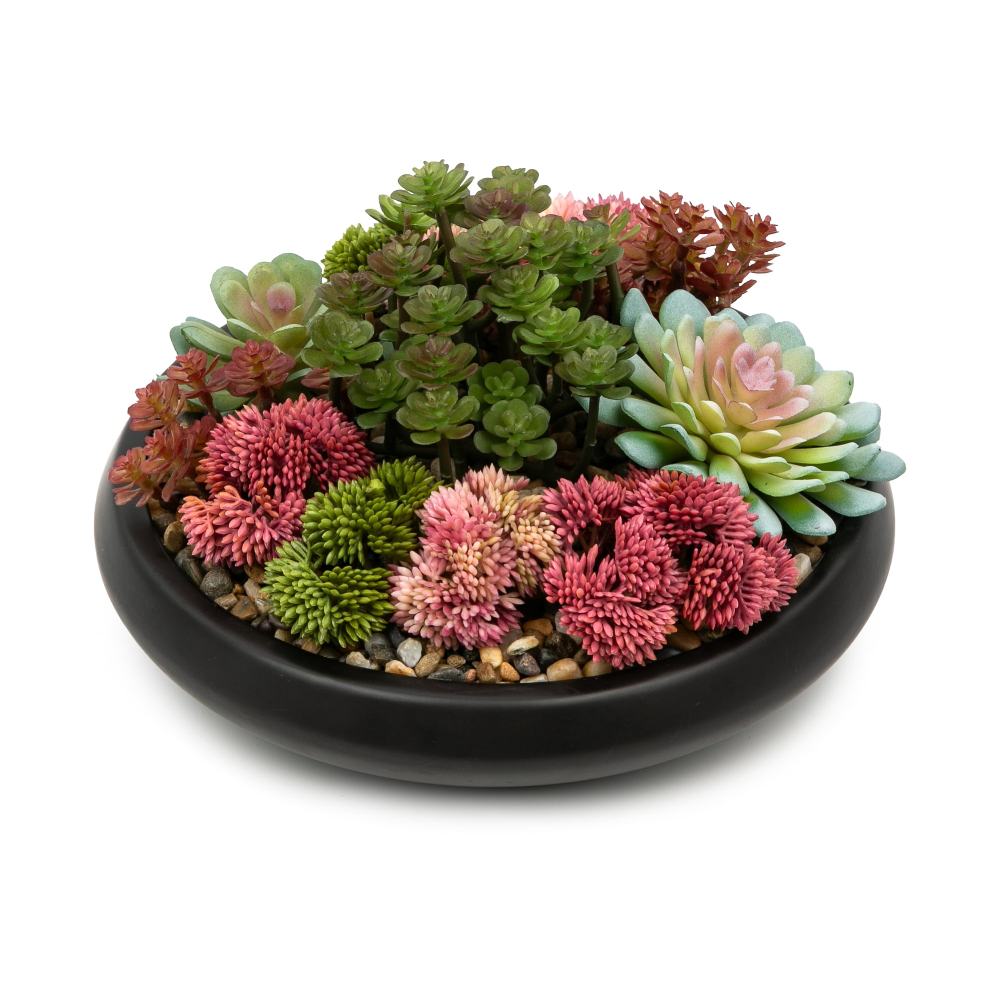 Better Homes & Gardens Artificial Mixed Succulent in Black Round Ceramic Bowl, 9"