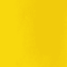 Winning Yellow