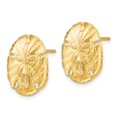 thumbnail image 5 of Auriga Fine Jewelry 14K Yellow Gold Large Sand Dollar Stud Earrings for Women, 5 of 5