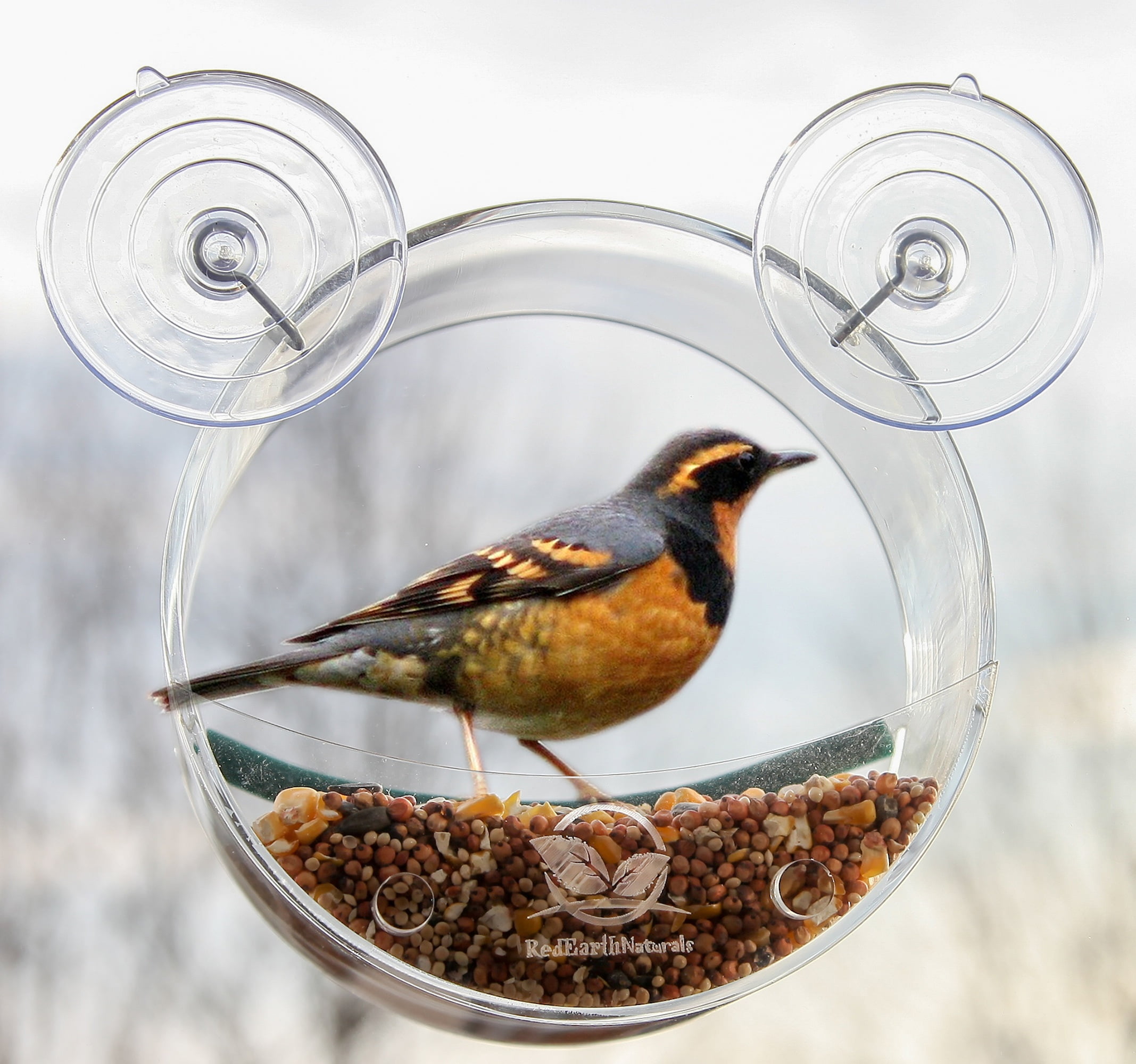 Round Window Bird Feeder Watch Wild Birds Up Close, Great Gift for