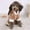 D, variant on Ailezt Dog Sweater Fall Dog Sweater for Small Dogs Thermal Soft Puppy Pajamas Stretchy Jumpsuit Doggie Pet Clothes for Chihuahua Teacup (XXS-XXL)