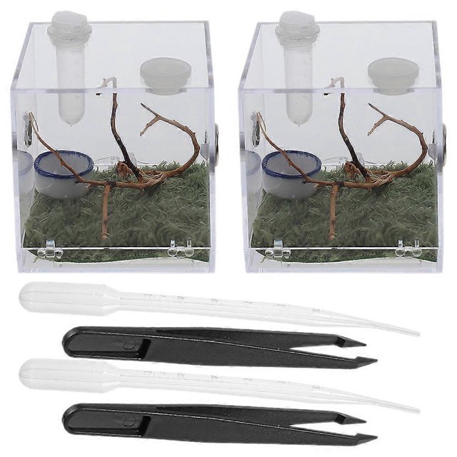 2 Sets Jumping Spider Enclosure Box Spider Habitat Box Acrylic Insects Feeding Case with Tools