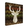 thumbnail image 2 of Trademark Fine Art 'Southwest Lodge Deer II' Canvas Art by Michael Mullan, 2 of 3