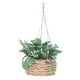 thumbnail image 2 of Ramos de casa de muñecas Higoodz 1:12 lindo multiusos Mano de Obra exquisita Mini Planta en maceta, 2 of 8