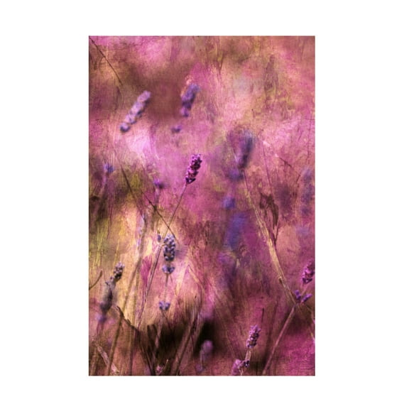 Canvas Wall Art - Delphine Devos 'Bring The Joy' Wall Art for Living Room, Bedroom, or Office Décor by Trademark Fine Art - 12 x 19 Inches