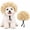 D, variant on Funny Dog Wig Costume, Curly Pet Hair Accessory for Halloween & Christmas