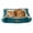 Dark Green, variant on The Cat Ladies Self-Warming Heated Cat Bed Mat, Reversible Comfortable Design - Light Green