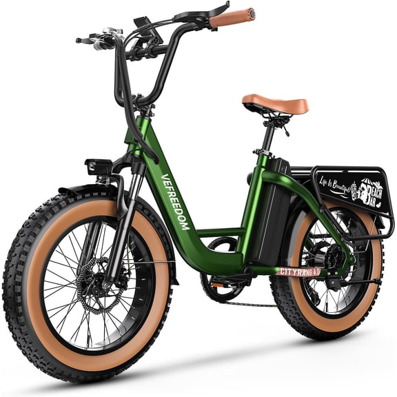 20" Fat Tire Electric Bicycle for Adults,500W Motor 48V20Ah Removable Battery Electric Mountain Bike,Green Ebike