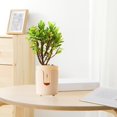 thumbnail image 4 of Self Watering Pots, Plastic Planter with Drainage Holes, Bottom Watering Flower Pots, Plastic Flower Pots for Indoor Outdoor Plants, Beige, 4 of 5