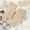 B_ Beige, variant on Winter Gloves for Women Touch Screen Ladies Thermal Fleece Warm knit Wool Snow Trendy Gloves for Cold Weather Gray