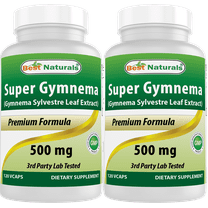 2 Pack Best Naturals Gymnema Sylvestre Leaf Extract 500 mg 120 Vegetarian Capsules