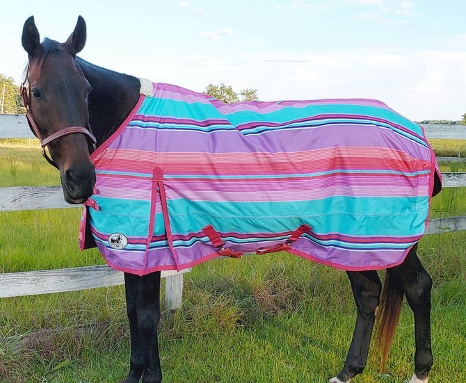 jeffers horse blankets