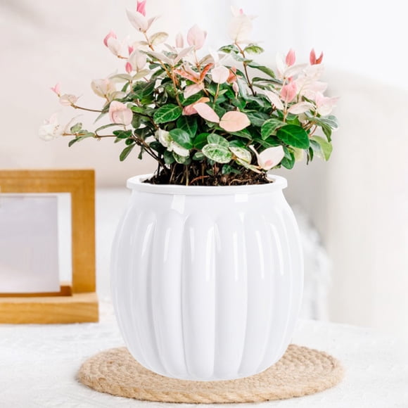 Transparent Hydroponic Plastic Flower Pot | Self-Watering Water-Storage Planter | Home Decor Desktop Indoor Vase | 13x10.8cm | White Green Gray Orange Clear | 1 Pack
