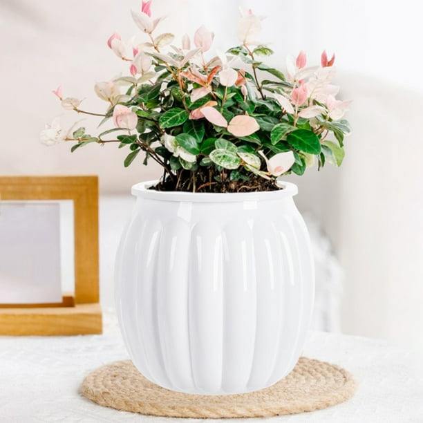 Macetas hidropónicas pequeñas transparentes para plantas de interior, sala de estar, escritorio, macetas hidropónicas de plástico transparente, imprescindibles para los amantes de las plantas verdes.