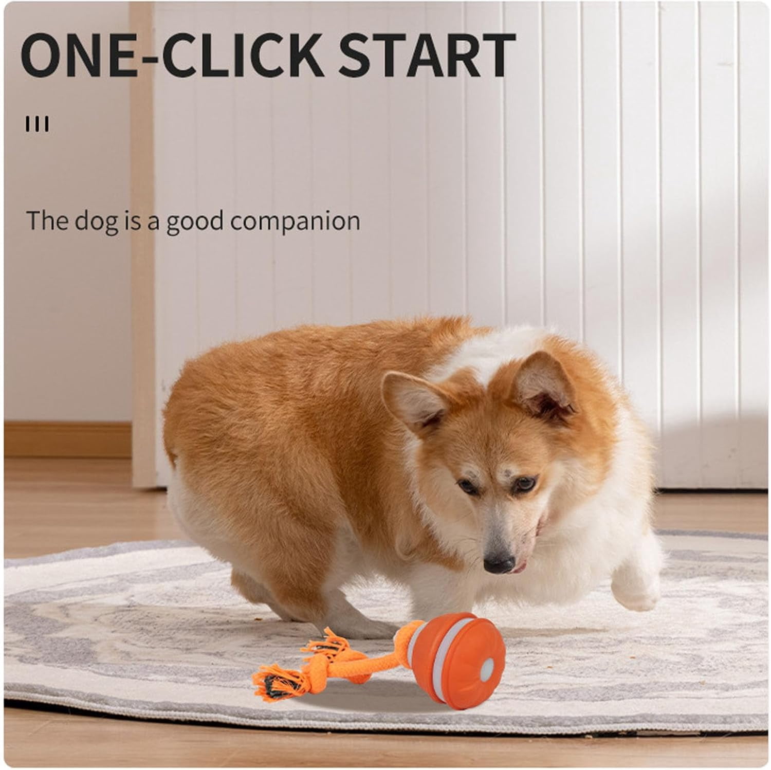 Interactive Dog Toys, Squeaky Dog Toys, Rolling Ball for Puppy and Medium Dogs, Squeaky Indoor/Outdoor Play