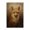 Red Fox Visage Woodland Cabin, variant on Stupell Industries Farmhouse Dark Fox Visage Canvas Art, 16 x 24, by Petals Prints Design