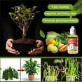 thumbnail image 4 of Floleo Clearance Plant Growth Enhancer, Nutrient Solution, Rooting Powder, Boost Plant Growth, Universal Fertilizer - 50ml Concentrated Formula for Healthy Plants, Fast Growth & Flowering!, 4 of 9