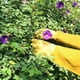 thumbnail image 2 of Guantes largos de jardinería piel de oveja piel de vaca resistente al desgaste apicultura soldadura eléctrica cuchillo de arco de argón y resistente al corte XL, 2 of 5