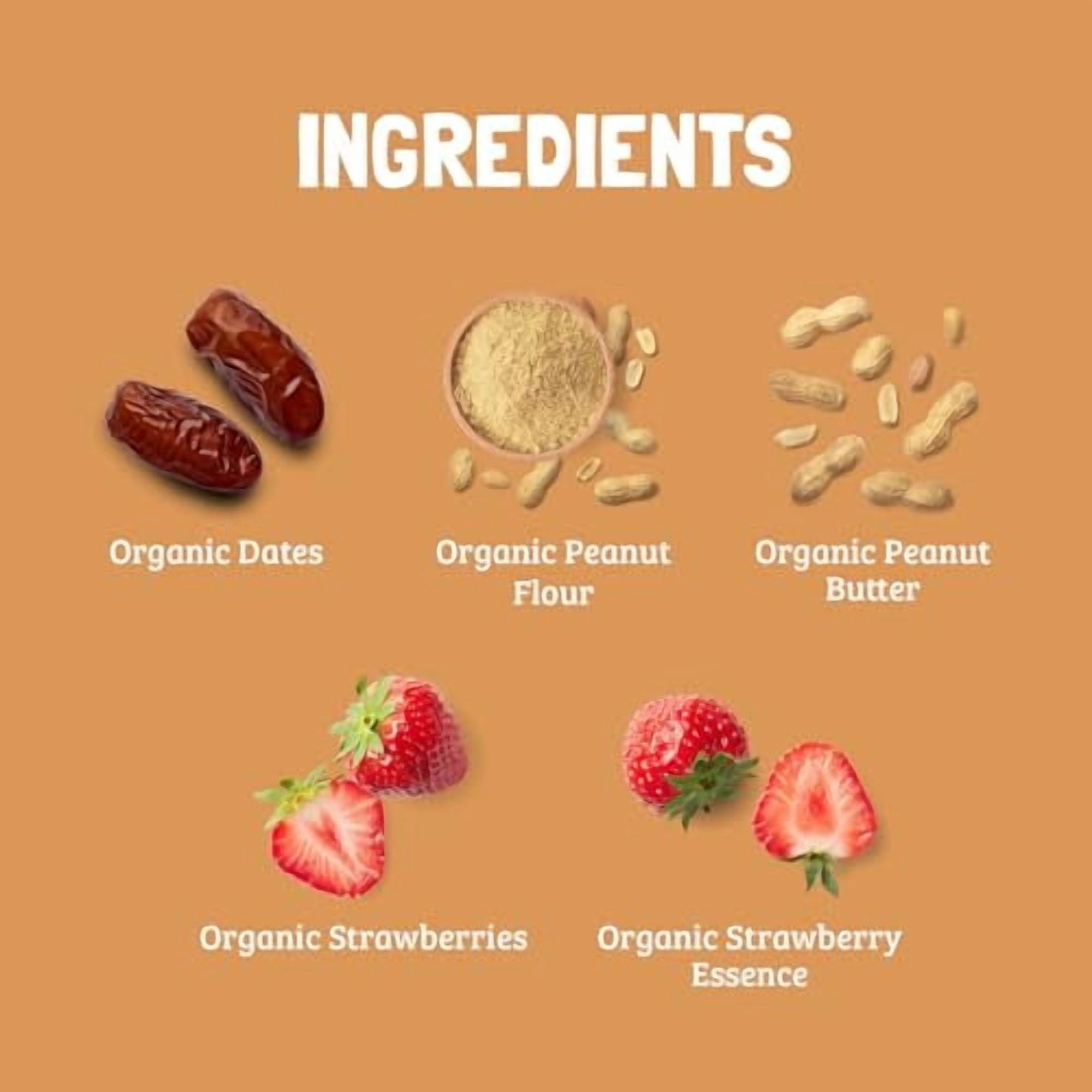 Skout Organic Peanut Butter & Jelly Plant-Based Protein Bars - 12 Pack